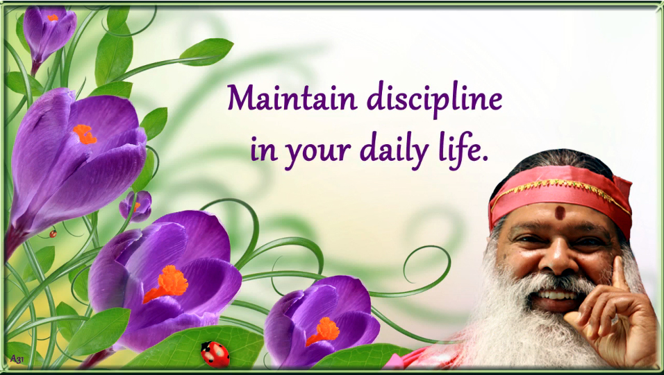 Maintain discipline in your daily life (English) ~ June 21, 2013