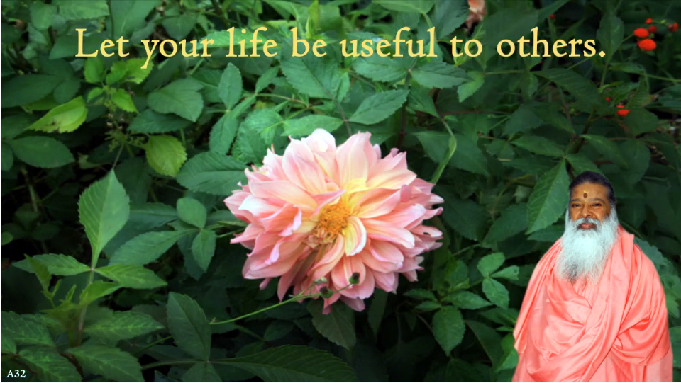 Let your life be useful