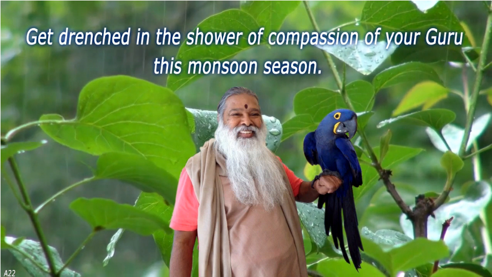 Compassion of Guru