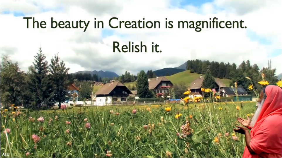 beauty in creation