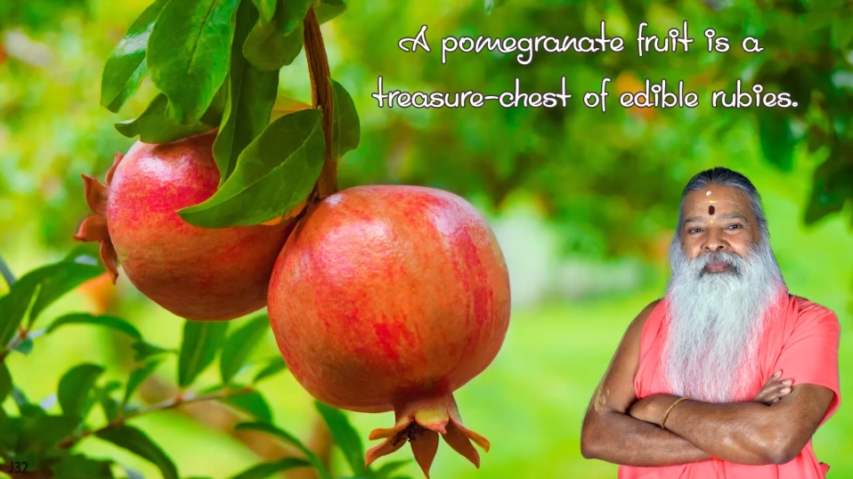 promegranate